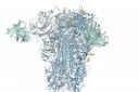A DeepMind model of a 3D molecular structure from a common cold virus (Google DeepMind)
