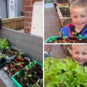 Farmer - George, 5, and his plants