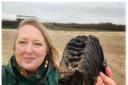 Find - Chris Bien, from Worthing, found a mammoth tooth during her trip to Holland-on-Sea