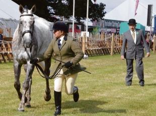 Tendring Show 2011