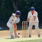 Poised: Clacton Cricket Club wicket-keeper John Stuck watches on as Halstead batsman Max Chu attempts to deal with a delivery in the Two Counties Championship division one match Picture: ROGER CUTHBERT