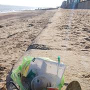 Trash - Litter gathered on the Walton seafront by WALLYs. Picture: WALLYs