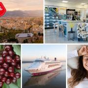 Money saving deals from Brewers, YouGarden, MyPillow, Just Go! Holidays and Ambassador