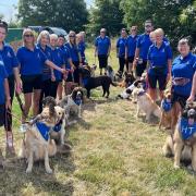 Community - The Happy Tailwaggers team