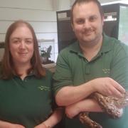 Dave and Helen Lowbridge with Gerald, their Dumeril's Boa