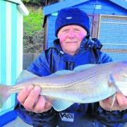 EYE-CATCHING: Clacton angler Mick Frost with a nicely marked codling, caught from Holland seafront.