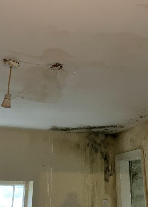 Orwell Terrace Tenants Flats Have Severe Water Leaks And Are