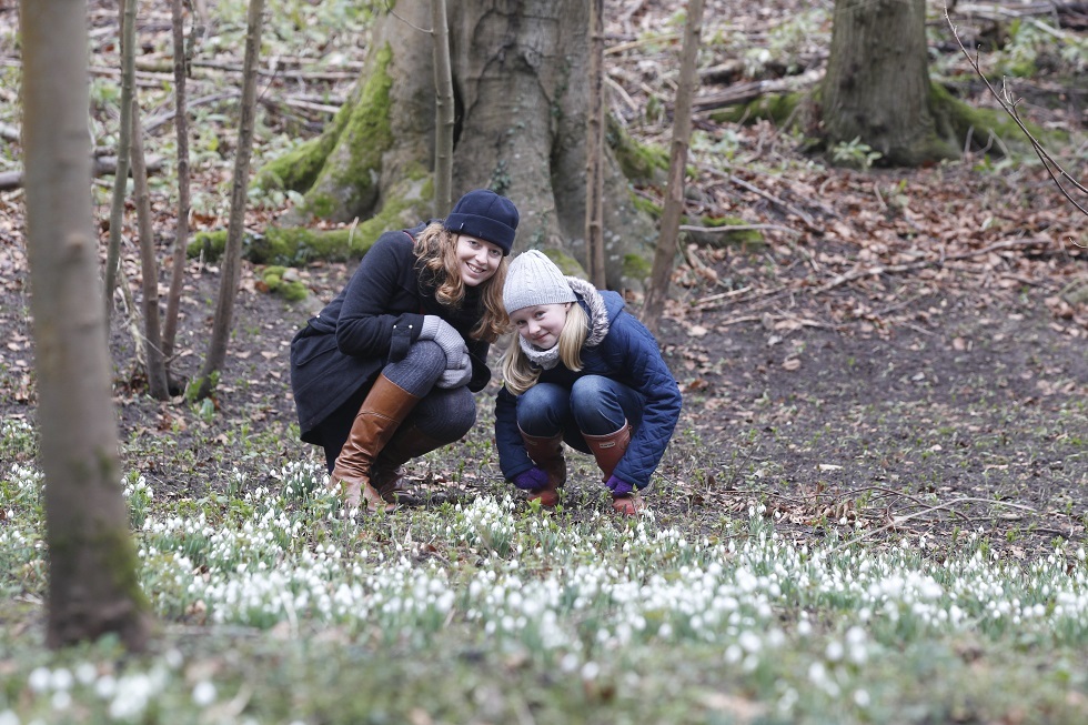 steve brading 03-02-13 Open day at Hedingham Castle for visitors to see the snowdrops. NB very few snowdrops open at moment, couple of weeks too early for floor of white there has been before. Phoebe Studdt, 10, and Nikki Grout