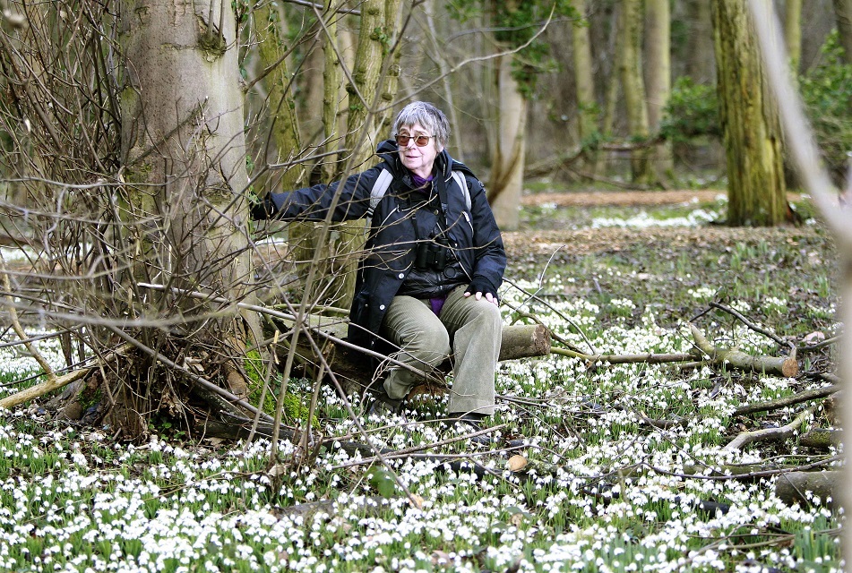 08-02-14 Marks Hall Gardens, near Coggeshall. Jaquet Mallinson (corr) with the snowdrops. Please note, due to the weather very few people visiting, this was the only person viewing the snowdrops in the time I had. Have taken general pics of the gardens