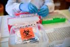 254 further coronavirus cases in Tendring