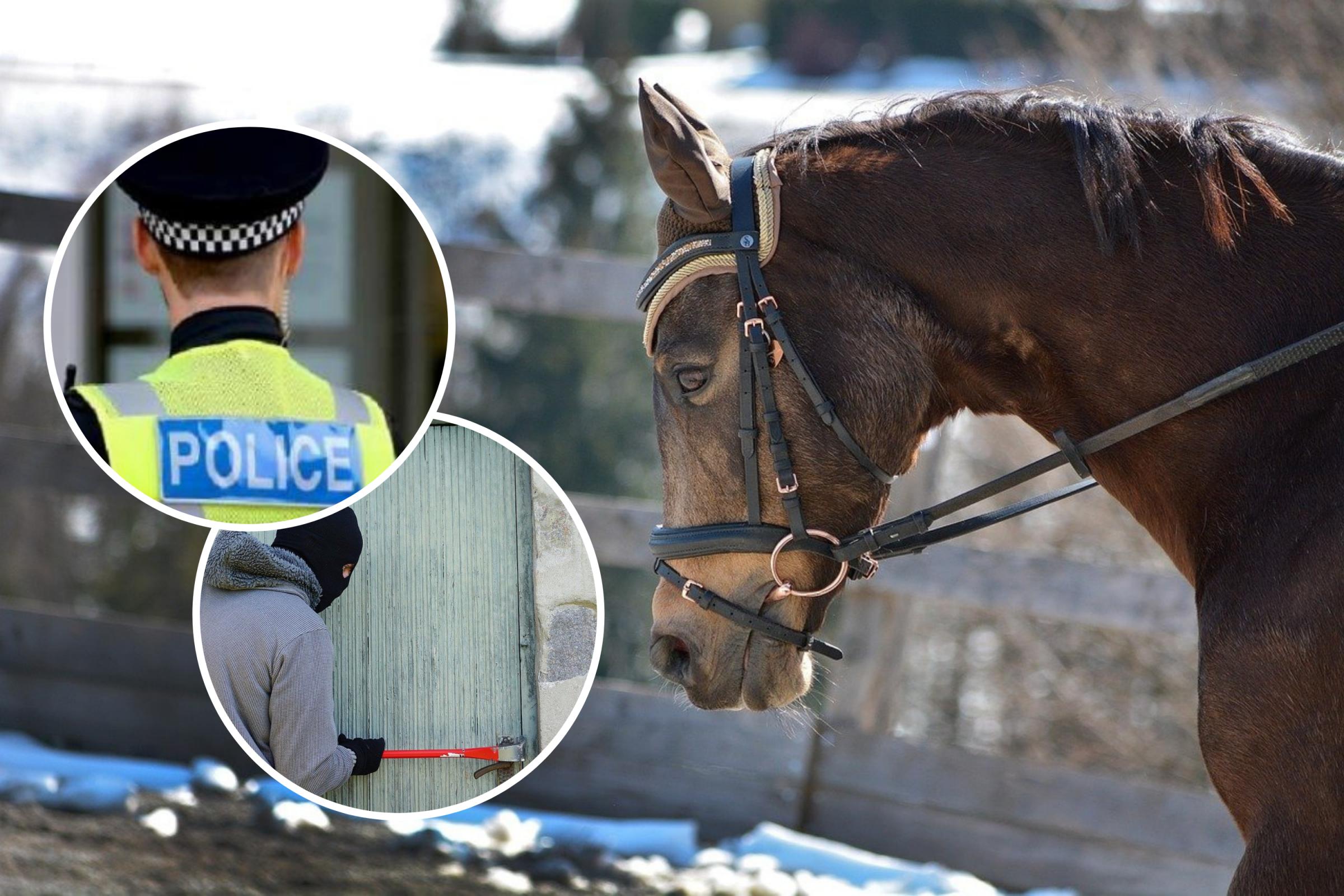 High Easter: Horse riding equipment worth thousands stolen | Clacton and Frinton Gazette - Vimarsana News