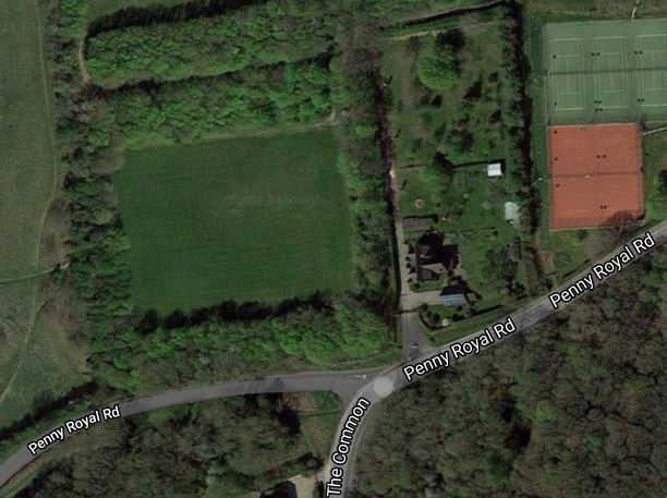 A view of the pitch in Dawson Memorial Field earmarked for the woodland. Photo - Google Maps