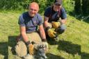 Clacton firefighters rescue 1-year-old pooch stuck in bushes and brambles