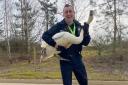Hot Fuzz - PCSO Lee Compton holding a swan which tried to cross the road in Stanway