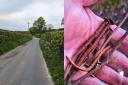 The police found the large nails on pull ins in the village