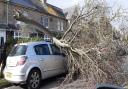 Crushed Car - A tree fell on a car in Third Avenue, Frinton.