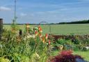 Open gardens: One of the gardens that will be open to the public in Walton
