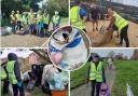 Snaps - Pictures of the Walton Wallys on their litter picking ventures