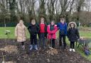 Growing- Year 4 pupils at St Osyth Church of England Primary School plant a food forest.