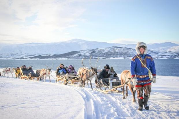 Clacton and Frinton Gazette: Reindeer Sledding Experience and Sami Culture Tour from Tromso - Tromso, Norway. Credit: TripAdvisor