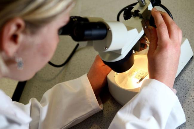 Cancer Research UK said survival rates could 
