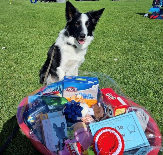 Clacton and Frinton Gazette: Star - Harley the collie with his best in show prize hamper