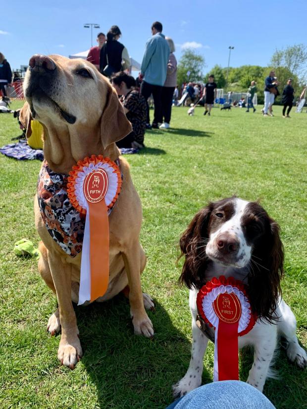 Clacton and Frinton Gazette: Top performers - Tara and Willow with their rosettes