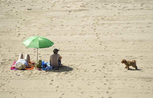 Clacton and Frinton Gazette: Surfaces such as sand can absorb a lot of heat on sunny days and burn pet’s paws. Picture: PA