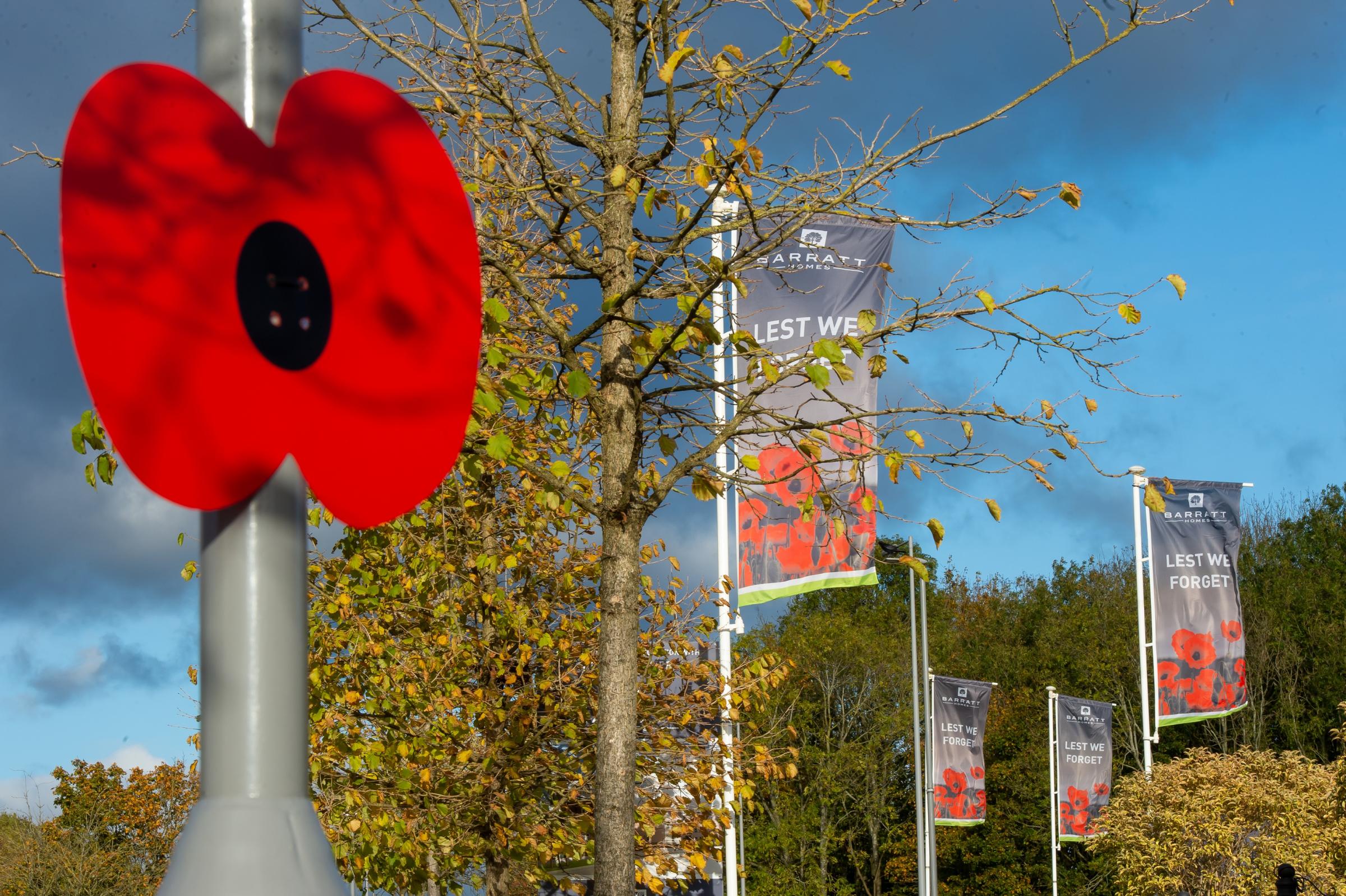 Barratt and David Wilson Homes giant poppies at Essex sites | Clacton and Frinton Gazette - Vimarsana News