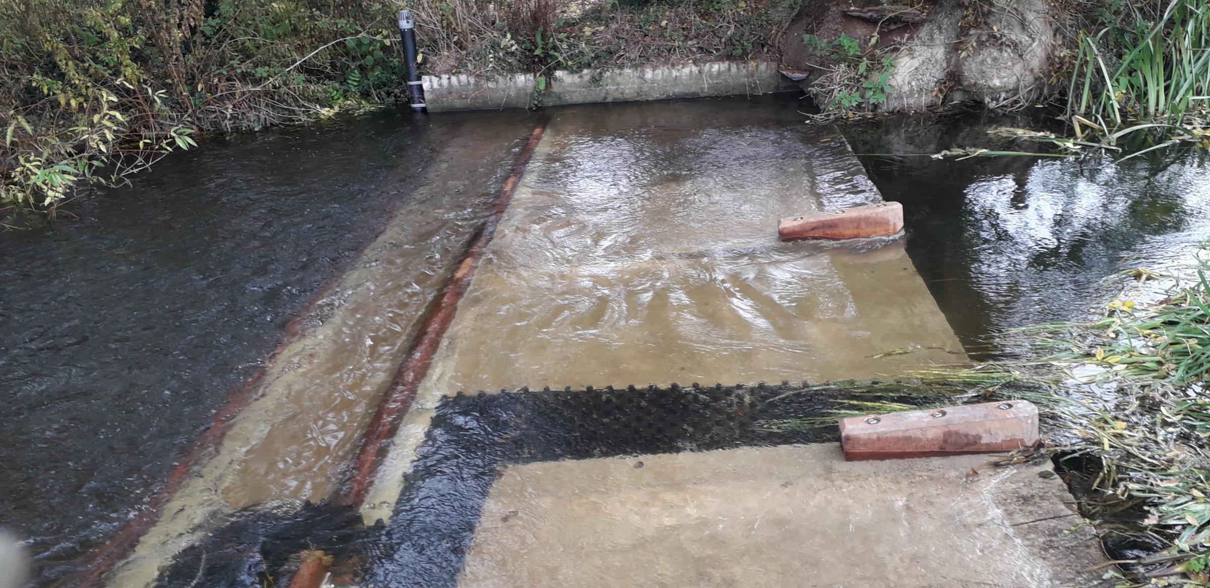 Wildlife charity's work at Dedham Mill aids fish migration project | Clacton and Frinton Gazette - Vimarsana News