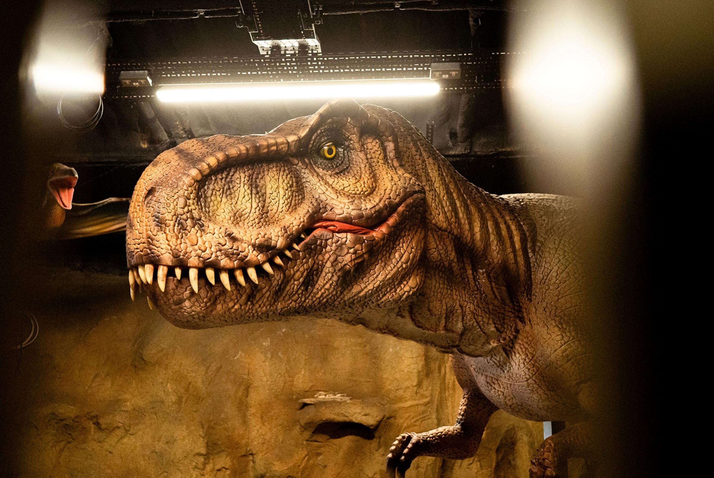 Clacton Pier's new £500k dinosaur attraction to open this weekend - Vimarsana News