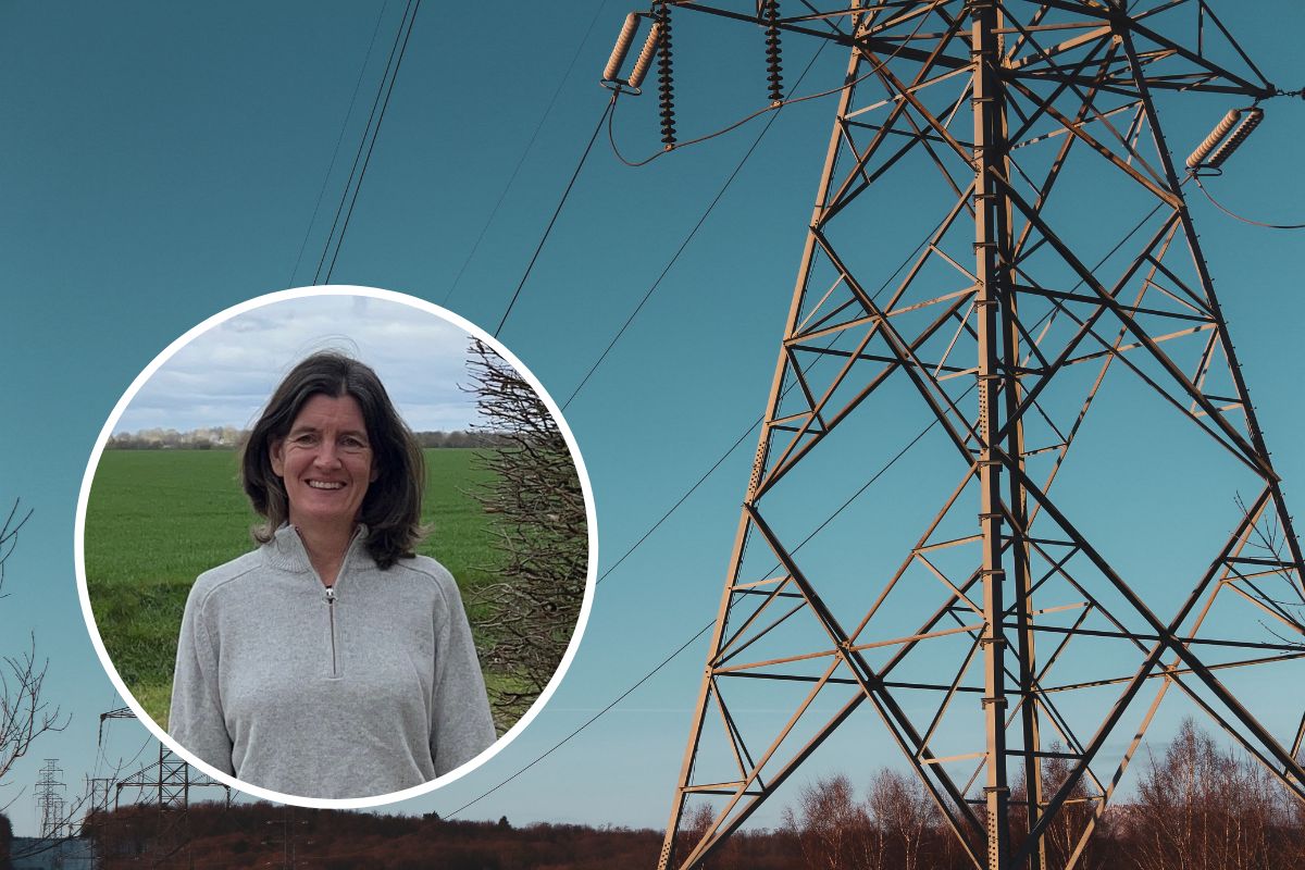 National Grid launches consultation on East Anglia pylons | Clacton and Frinton Gazette - Vimarsana News