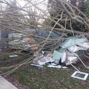 Two caravans were crushed by a tree at Highfield Grange holiday park in Clacton