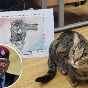 Bill Gladden, 98, painted care home cat Dave to raise funds for the Taxi Charity.