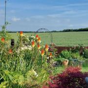 Open gardens: One of the gardens that will be open to the public in Walton