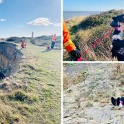Rescue bid as pet dog Bonnie falls down Walton's Naze cliffs