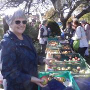 Apple Day - Frinton and Walton Heritage Trust's apple stall