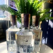 Classy - Lamb and Co teamed up with East Coast Distillery to produce the gin.