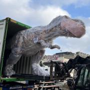Arrival - a Tyrannosaurus-Rex  arrives at Clacton Pier