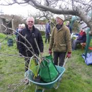 Tree-mendous - plants and trees were sold to raise cash for Frinton and Walton Heritage Trust at its Railway Cottage gardens