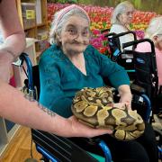 Residents introduced to cold-blooded guests as snakes visit care home