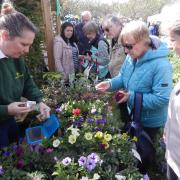 The Railway Cottage Garden in Frinton held its annual Spring Fayre on Saturday
