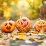 Spooky - Halloween carved pumpkins