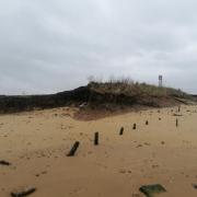 Charity - The Naze Protection Society is trying to protect Walton's cliff