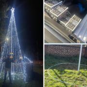 Festive - Christmas light tree lit up