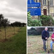 Green - Members of the team planting fruit trees