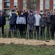 Hedge - Pupils from the Walton Primary School, Walton Sea Cadets and local Brownies helped plant a hedge