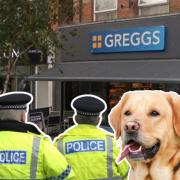 Hangry dog owner 'stages sit-down protest' in Greggs after being told to leave bakery