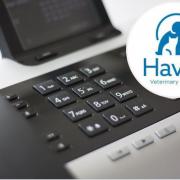 Important - Haven Vets Frinton location reports its phone lines are down