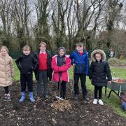 Growing- Year 4 pupils at St Osyth Church of England Primary School plant a food forest.